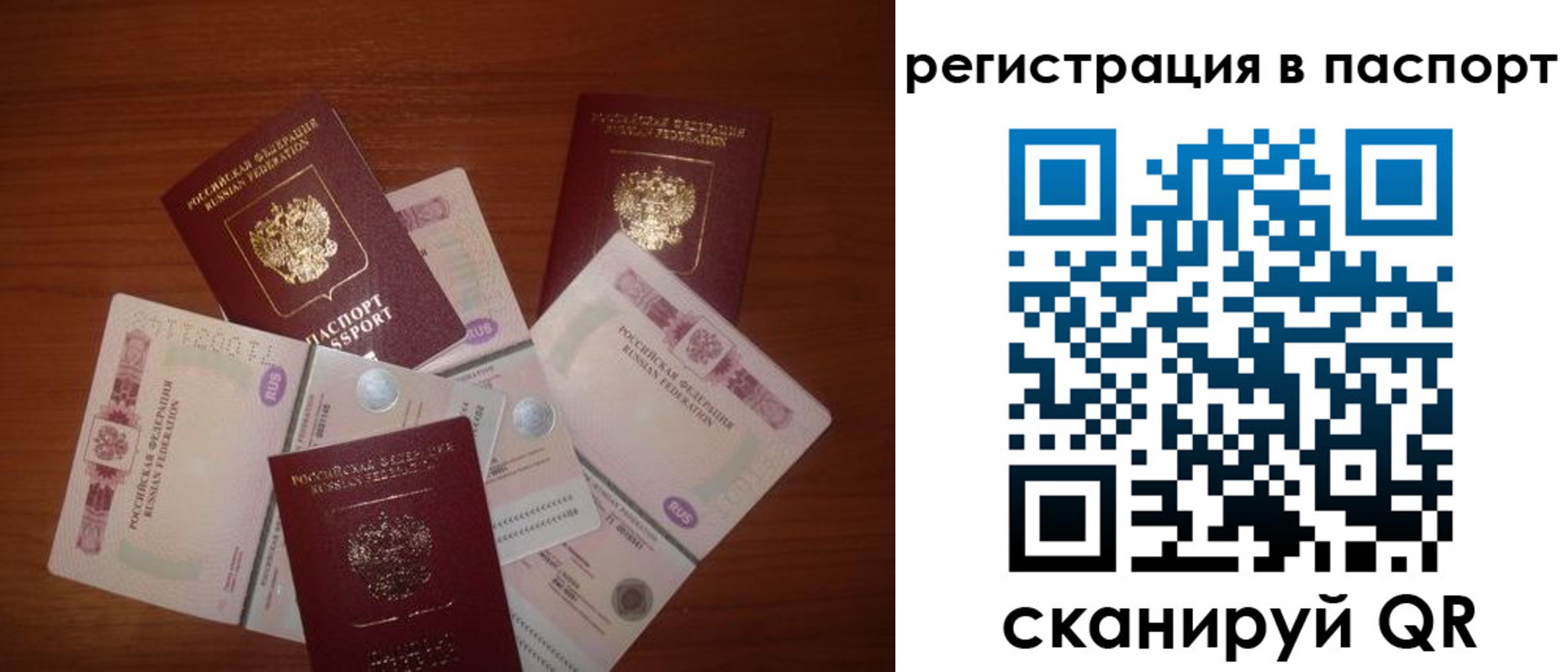 временная регистрация надежно в Братске